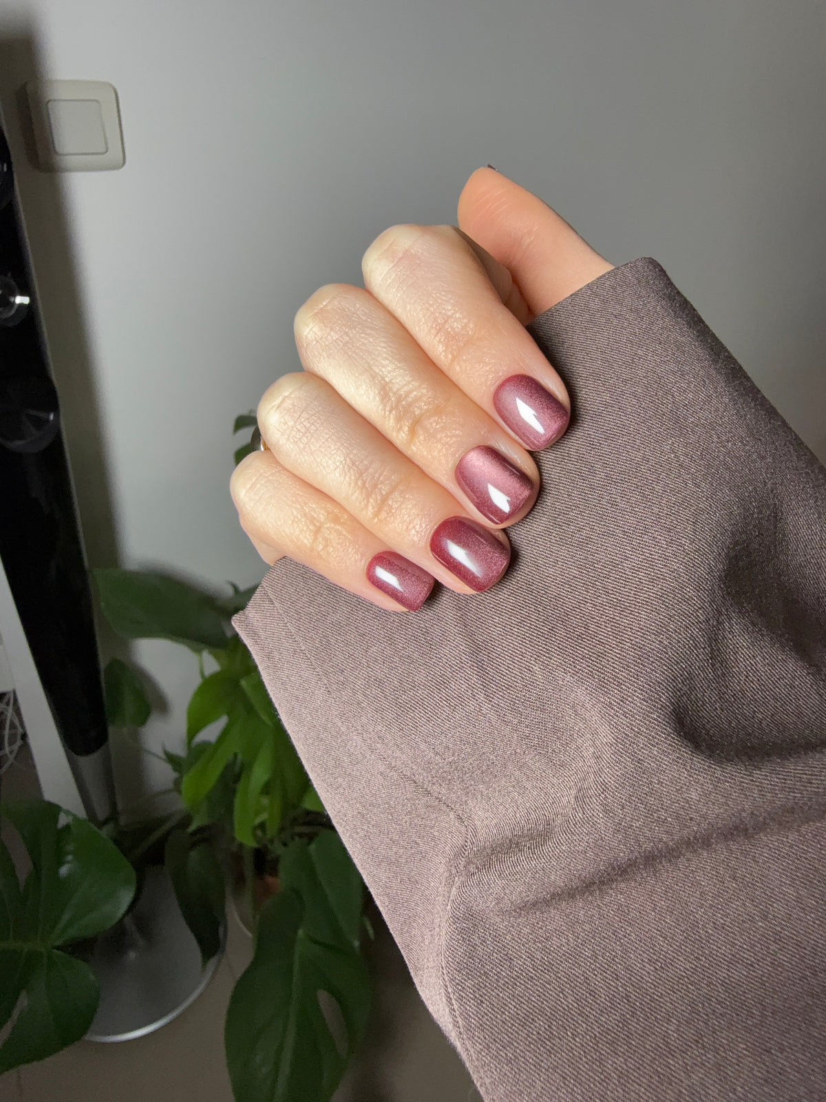Faux Ongles Cat Eyes Image