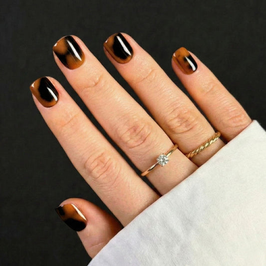 Terra Latte - Extra-court