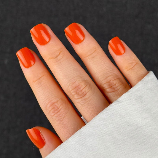 Colorado - Extra-court