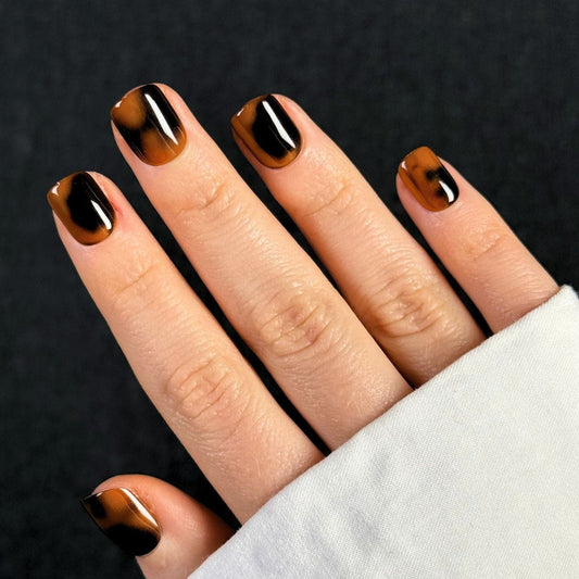 Terra Latte - Extra-court